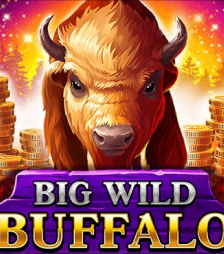 Big Wild Buffalo